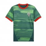 Camiseta Pre Partido del Portugal 2025 Verde
