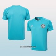 Camiseta de Entrenamiento Palmeiras 23-24 Verde