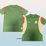 Camiseta de Entrenamiento Palmeiras 23-24 Verde