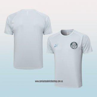 Camiseta de Entrenamiento Palmeiras 23-24 Gris