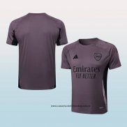 Camiseta de Entrenamiento Arsenal 24-25 Gris Purpura