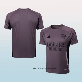 Camiseta de Entrenamiento Arsenal 24-25 Gris Purpura