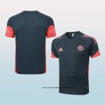Camiseta de Entrenamiento Bayern Munich 25-26 Gris Oscuro