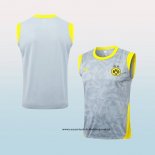 Camiseta de Entrenamiento Borussia Dortmund 25-26 Sin Mangas Gris