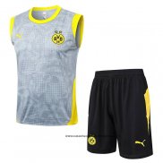Chandal del Borussia Dortmund 25-26 Sin Mangas Gris