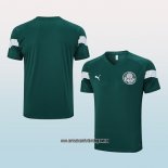 Camiseta de Entrenamiento Palmeiras 23-24 Verde