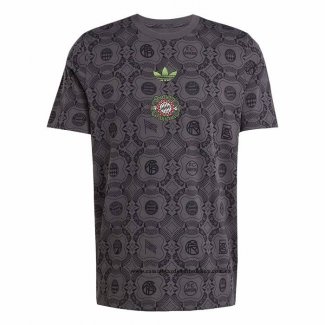 Camiseta Pre Partido del Bayern Munich 25-26 Gris