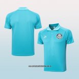 Camiseta Polo del Palmeiras 23-24 Verde